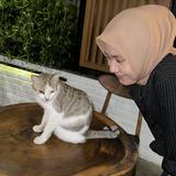 (Kategori: ) berada di . Dikirim oleh amarthyasyhslm (ID iklan 1382317548, Gambar 1). Deskripsi: .