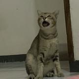 (Kategori: ) berada di . Dikirim oleh fatyaaish (ID iklan 1369046339, Gambar 1). Deskripsi: .