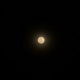 (Category: ) located in . Submitted by isadreaming (Listing ID 1377735546, Image 1). Description: .