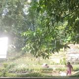 (Kategori: ) berada di . Dikirim oleh gayatrirajapatni (ID iklan 1381992998, Gambar 1). Deskripsi: .
