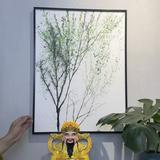 （分類：）位於 。 由 aaliyubin29449 提交（商品編號 1369399566，圖片 1）。簡介： 。