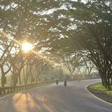 (Kategori: ) berada di . Dikirim oleh hanira_ (ID iklan 1383893379, Gambar 1). Deskripsi: .