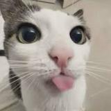 (Category: ) located in . Submitted by tahsinhasem (Listing ID 1306131139, Image 1). Description: .