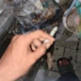(Kategori: ) berada di . Dikirim oleh padlyx (ID iklan 1369790553, Gambar 1). Deskripsi: .