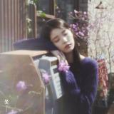 （分類：）位於 。 由 petalstore 提交（商品編號 1355823335，圖片 1）。簡介： 。