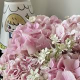 （分類：）位於 。 由 restyle.it 提交（商品編號 1365593350，圖片 1）。簡介： 。