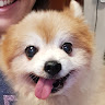 (Category: ) located in . Submitted by cherrili (Listing ID 1374268546, Image 1). Description: .