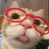 (Category: ) located in . Submitted by catlover0818 (Listing ID 1444819645, Image 1). Description: .