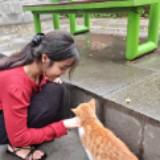 (Kategori: ) berada di . Dikirim oleh gingercandy. (ID iklan 1385113890, Gambar 1). Deskripsi: .