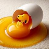 由 kenbaby001 (刊登 ID 1363248355，圖片 1) 提交，位於 的 (類別：)，說明：。
