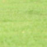 (Category: ) located in . Submitted by mrljoey (Listing ID 1454962195, Image 1). Description: .