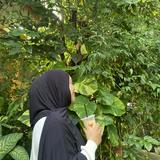 (Kategori: ) berada di . Dikirim oleh mamakminul (ID iklan 1370408160, Gambar 1). Deskripsi: .