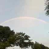 (Category: ) located in . Submitted by danielcesar (Listing ID 1379114585, Image 1). Description: .