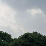 （分類：）位於 。 由 hh.083 提交（商品編號 1370463603，圖片 1）。簡介： 。