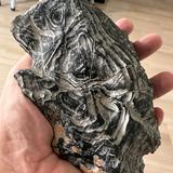 (Category: ) located in . Submitted by ornamental_rocks (Listing ID 1336195153, Image 1). Description: .