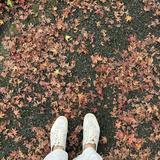 (Category: ) located in . Submitted by ourloveandlemonx (Listing ID 1368386918, Image 1). Description: .