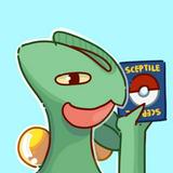 (Category: ) located in . Submitted by sceptiletcg (Listing ID 1371902981, Image 1). Description: .