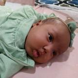 (Kategori: ) berada di . Dikirim oleh ibunnana (ID iklan 1373555480, Gambar 1). Deskripsi: .