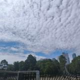 (Kategori: ) berada di . Dikirim oleh mampiryukk (ID iklan 1194941932, Gambar 1). Deskripsi: .