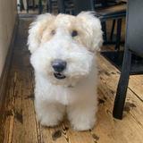 (Category: ) located in . Submitted by shellyshiz (Listing ID 1334658298, Image 1). Description: .