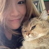 (分類:)位於 。 由 rubyyyy____ 提交(商品編號 1406403735,圖片 1)。簡介: 。