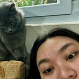 (Category: ) located in . Submitted by angelliepurrrr (Listing ID 1348572048, Image 1). Description: .
