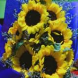 (Category: ) located in . Submitted by happymargarita (Listing ID 1370664225, Image 1). Description: .