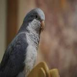（分類：）位於 。 由 pgmisaki11707 提交（商品編號 1376232358，圖片 1）。簡介： 。