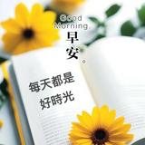 由 nono2149 (刊登 ID 1384044571，圖片 1) 提交，位於 的 (類別：)，說明：。