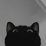 (Category: ) located in . Submitted by ryuniverse (Listing ID 1361754615, Image 1). Description: .