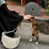 (Kategori: ) berada di . Dikirim oleh pre_syah (ID iklan 1371056120, Gambar 1). Deskripsi: .