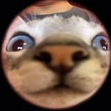 (Category: ) located in . Submitted by glutinouswhale06 (Listing ID 1470392873, Image 1). Description: .