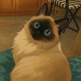 （分類：）位於 。 由 avisaiello 提交（商品編號 1125969442，圖片 1）。簡介： 。