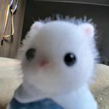 (Category: ) located in . Submitted by idrinksoup (Listing ID 1374672296, Image 1). Description: .