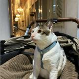 (Kategori: ) berada di . Dikirim oleh lenn.store (ID iklan 1377199723, Gambar 1). Deskripsi: .