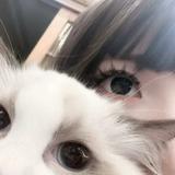 由 mimui_04 (刊登 ID 1381397216，圖片 1) 提交，位於 的 (類別：)，說明：。