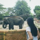 (Kategori: ) berada di . Dikirim oleh winekartik23822 (ID iklan 1355432811, Gambar 1). Deskripsi: .
