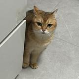 (Category: ) located in . Submitted by yun42445 (Listing ID 1371326258, Image 1). Description: .