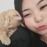 由 a0979792751 (刊登 ID 1381893946，圖片 1) 提交，位於 的 (類別：)，說明：。