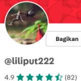 (Kategori: ) berada di . Dikirim oleh davineshop (ID iklan 1384848375, Gambar 1). Deskripsi: .