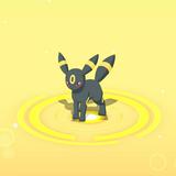 (Category: ) located in . Submitted by chichiasanchen (Listing ID 1379182829, Image 1). Description: .