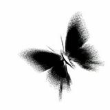 （分類：）位於 。 由 kgja7 提交（商品編號 1362055862，圖片 1）。簡介： 。