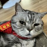 由 sunnyliu1961731 (刊登 ID 1371701613，圖片 1) 提交，位於 的 (類別：)，說明：。