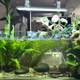 (Category: ) located in . Submitted by yhge1110 (Listing ID 1371583699, Image 1). Description: .