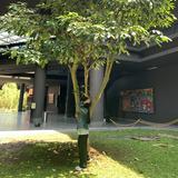 (Kategori: ) berada di . Dikirim oleh ____lemarilama (ID iklan 1372186088, Gambar 1). Deskripsi: .
