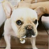 由 oo_uru (刊登 ID 1365586367，圖片 1) 提交，位於 的 (類別：)，說明：。