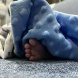 由 smallmt (刊登 ID 1382309761，圖片 1) 提交，位於 的 (類別：)，說明：。