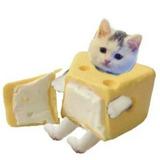 (Category: ) located in . Submitted by sadbutrad (Listing ID 1378501410, Image 1). Description: .