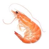 (Kategori: ) berada di . Dikirim oleh udang_store (ID iklan 1372020917, Gambar 1). Deskripsi: .