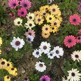 (Category: ) located in . Submitted by justtoclearrrrr (Listing ID 1372136091, Image 1). Description: .